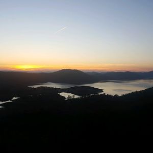 Meet your Posher, Riley